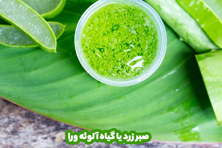 صبر زرد همان الورا 