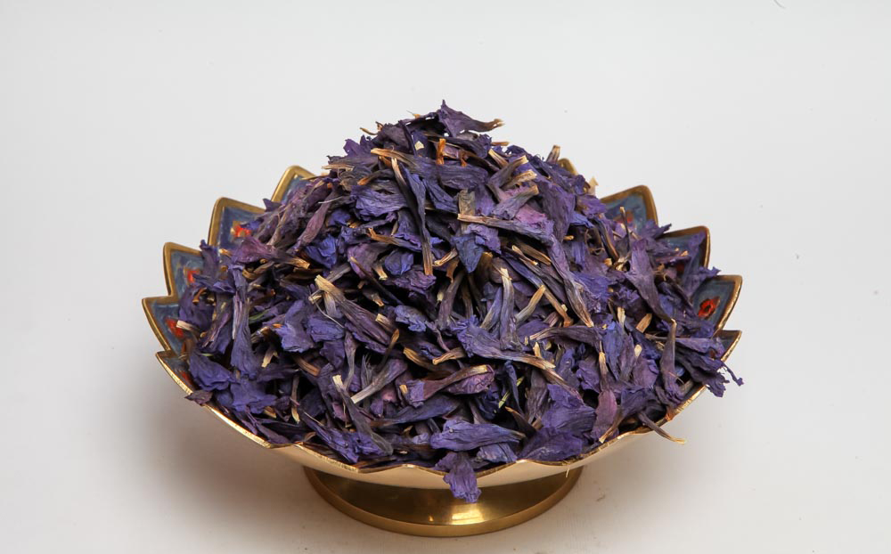 عکس گل گاو زبان